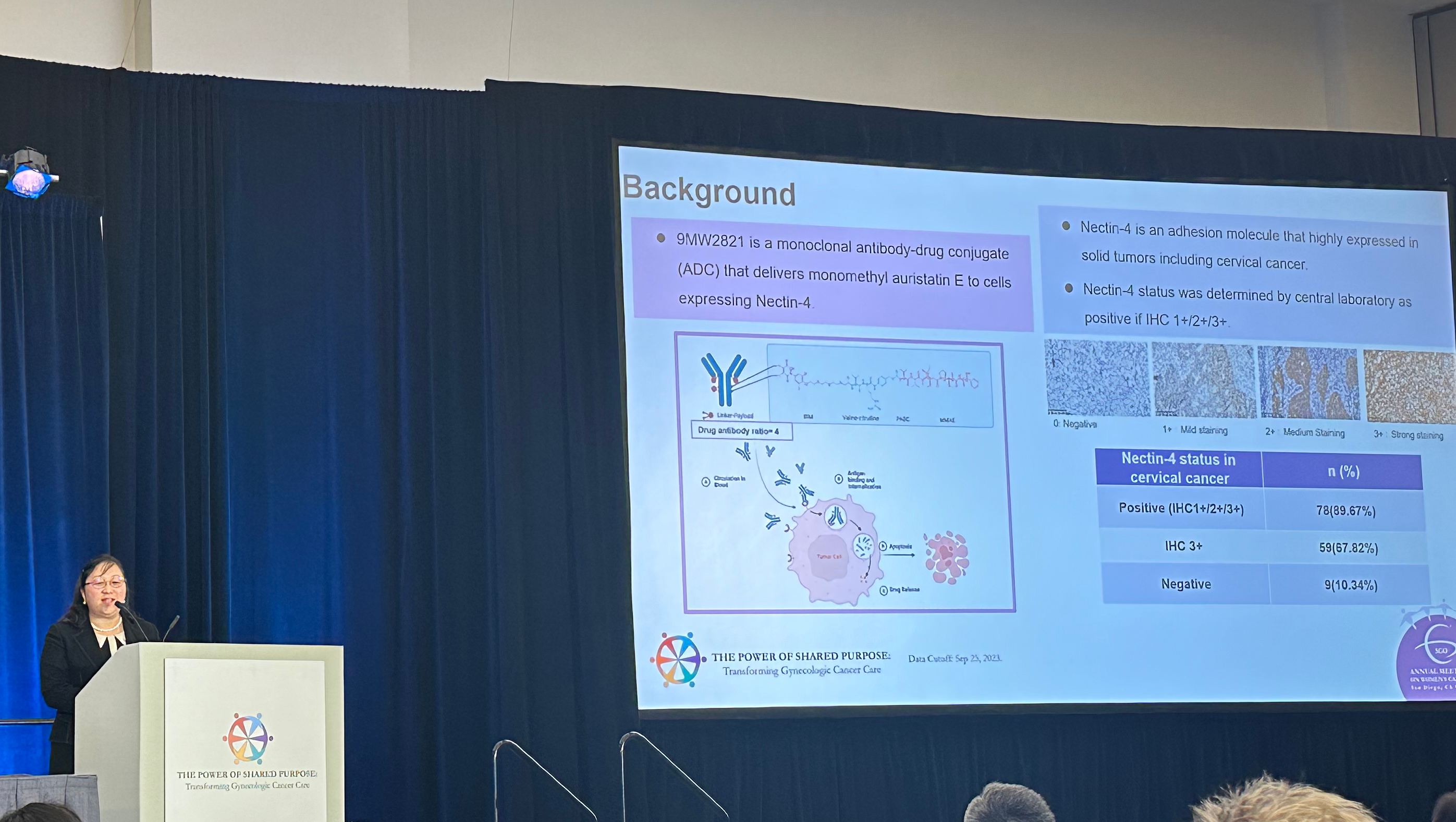 20240319161627311807.png SGO现场5.png