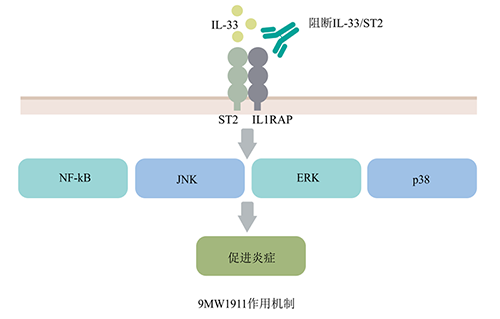 20211223132506379167.png 017.png