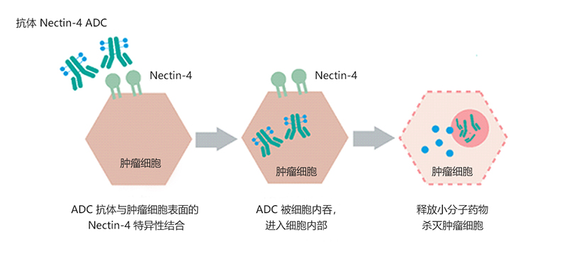 20211223143415777485.jpg 029.jpg