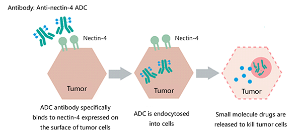 20211229140354264340.png 9MW2821-3.png
