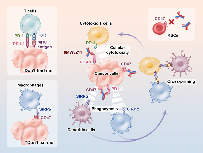 20221201174933508420.png Cover Image.png